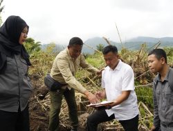 Penyelesaian Sengketa Batas Tanah di Padang Mengatas, Kantah Lima Puluh Kota Laksanakan Survei lapangan