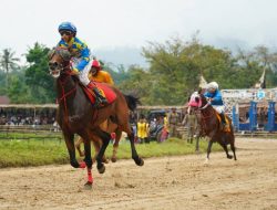 Dari Tradisi ke Rezeki, Pacu Kuda Wirabraja Hidupkan Ekonomi Masyarakat Tanah Datar