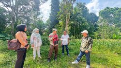 Kantah Lima Puluh Kota Gelar Kegiatan Peninjauan Lapangan Pertimbangan Teknis Pertanahan