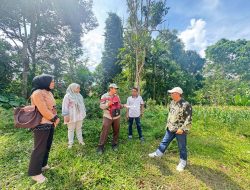 Kantah Lima Puluh Kota Gelar Kegiatan Peninjauan Lapangan Pertimbangan Teknis Pertanahan