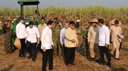 Dampingi Presiden Prabowo Panen Raya di Malang, Menteri Nusron: Ketahanan Pangan Butuh Kepastian Hukum Tanah
