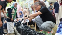 Tindak Lanjuti “Petani Berdasi”, Pemko Payakumbuh dan Kementan Jadikan ASN Pionir Ketahanan Pangan